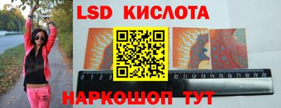 стаф Кингисепп