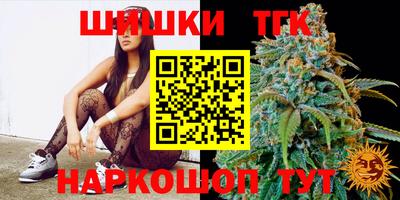 стаф Кингисепп