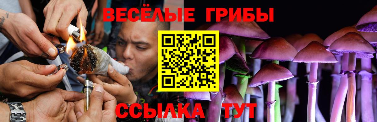 Псилоцибиновые грибы мухоморы Королёв
