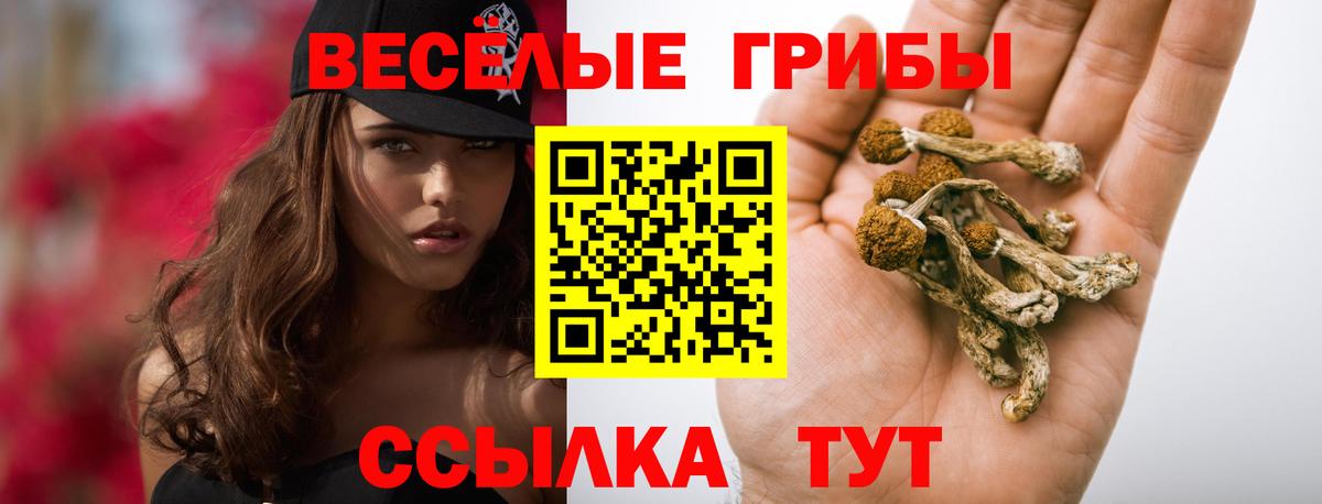Королёв  Галлюциногенные грибы GOLDEN TEACHER  Вход с VPN 